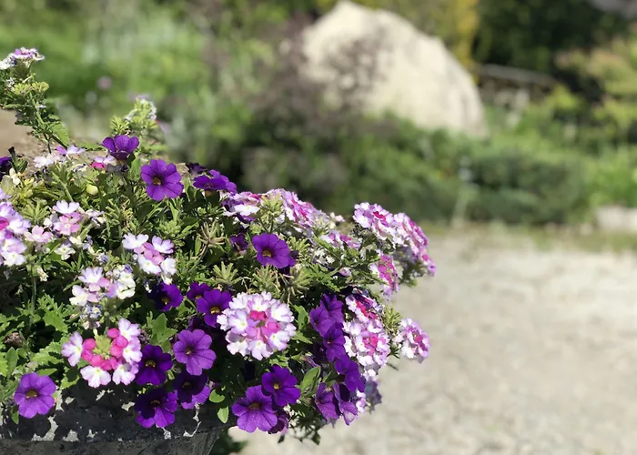 Adventure The Bruce Inn - Recently Renovated With Outdoor Hot Tub Tobermory